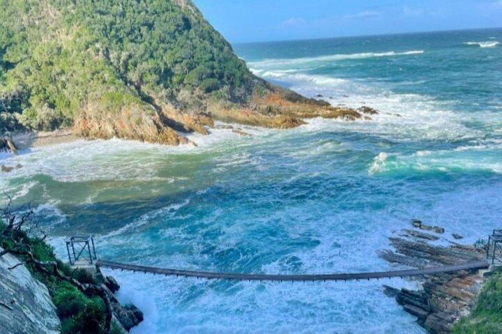 Tsitsikama National Park Day Tour from Port Elizabeth