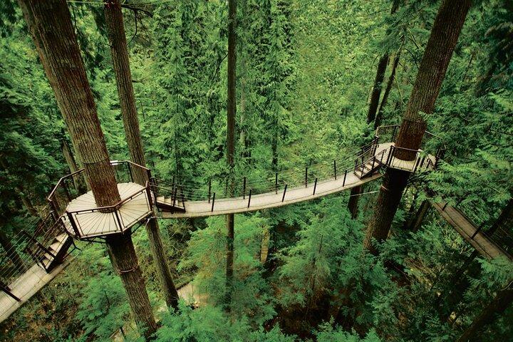 Vancouver City Tour plus Granville Island & Capilano Bridge