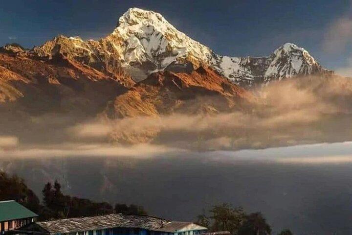 Ghorepani Poonhill Ghandruk Trek from Pokhara: 4-Day Adventure