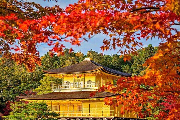 Experience the Wonders of Japan in One Day