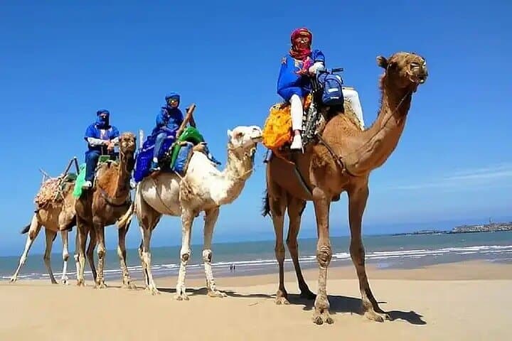 AgadiR: Sandboarding Guided Group Experience & Sunset Camel Ride