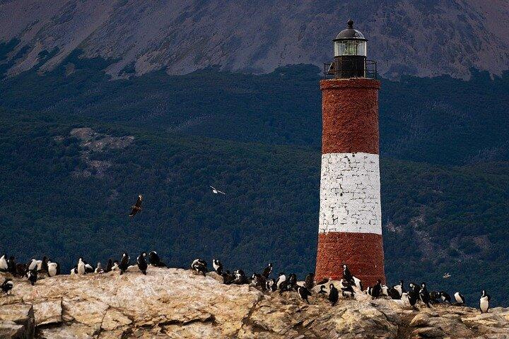 Beagle Channel Wildlife Cruise & Les Éclaireurs Lighthouse