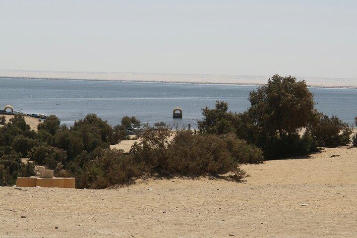 White Desert and Bahariya Oasis Day Tour with Safari from Cairo
