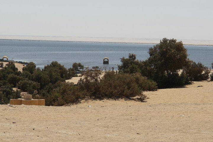El Fayoum Oasis Day Tour from Cairo Wadi El Rayan and Wadi Hitan