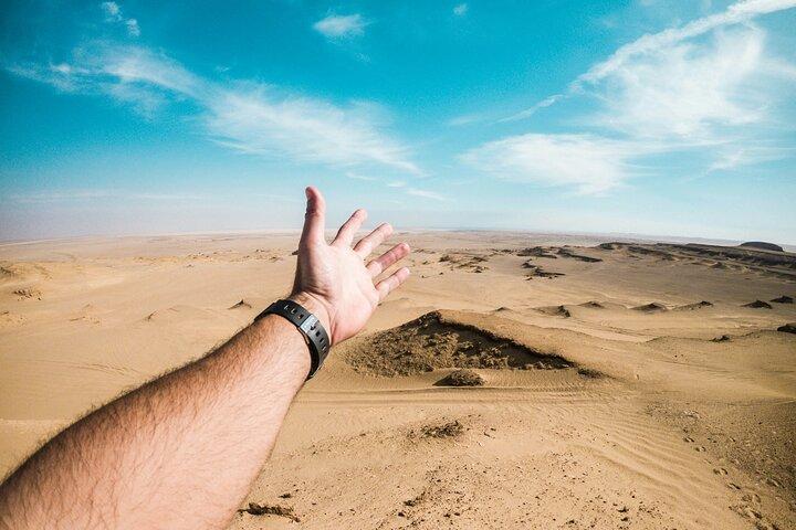 El Fayoum Oasis Day Tour from Cairo Wadi El Rayan and Wadi Hitan