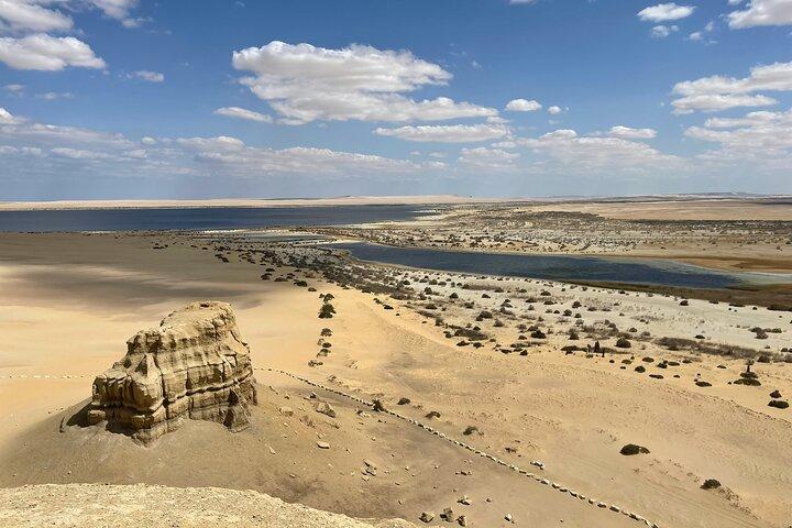 El Fayoum Oasis Day Tour from Cairo Wadi El Rayan and Wadi Hitan