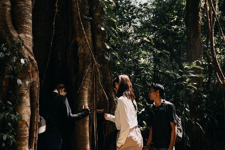 Munduk Twin Lake Jungle Hike, Ulun Danu Temple, & Waterfall