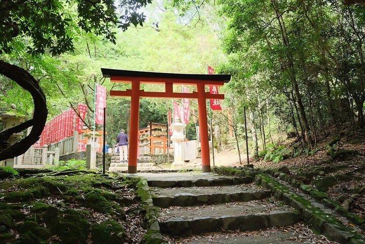 Nara and kyoto adventures private vehicle tour
