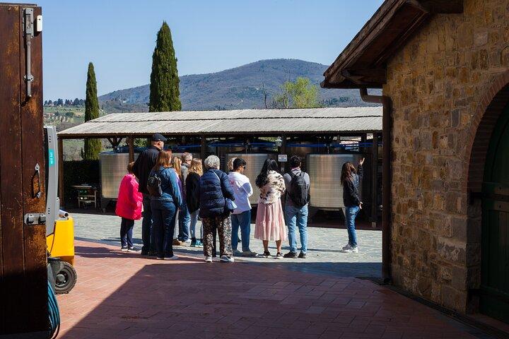 In the Heart of Chianti Classico : Wine, Winery and Tradition