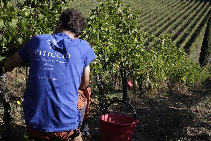 In the Heart of Chianti Classico : Wine, Winery and Tradition