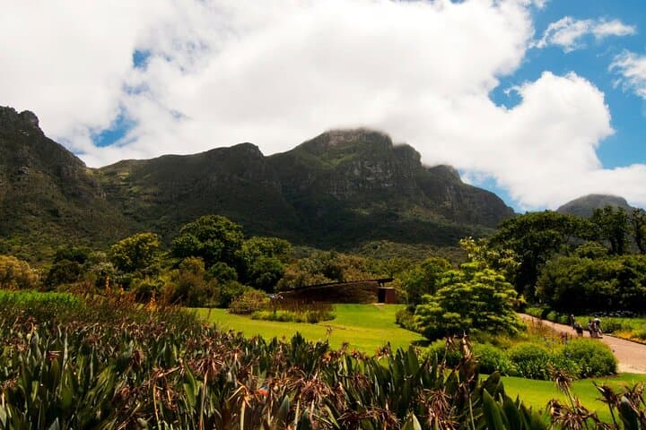 Cape Town Garden Entry Kirstenbosch Botanical Experience