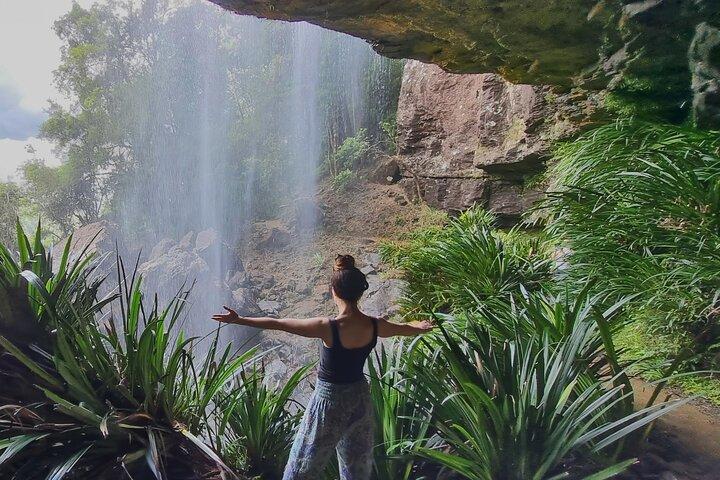 Glow Worms + Day/Night Rainforest & Waterfalls Experience