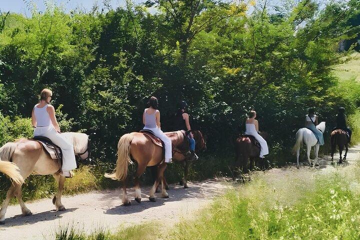 Scenic Tuscan Horseback Ride with Aperitif near Florence