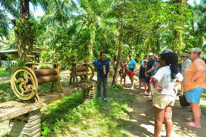 Khao Lak Bamboo Rafting and Sea Turtle Conservation Center