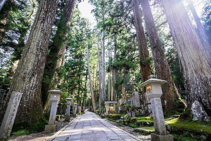 Koyasan Day Trip by Private Car from Osaka