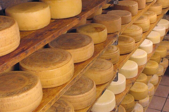 Tuscan Olive Oil and Cheese Tasting Tour with San Gimignano