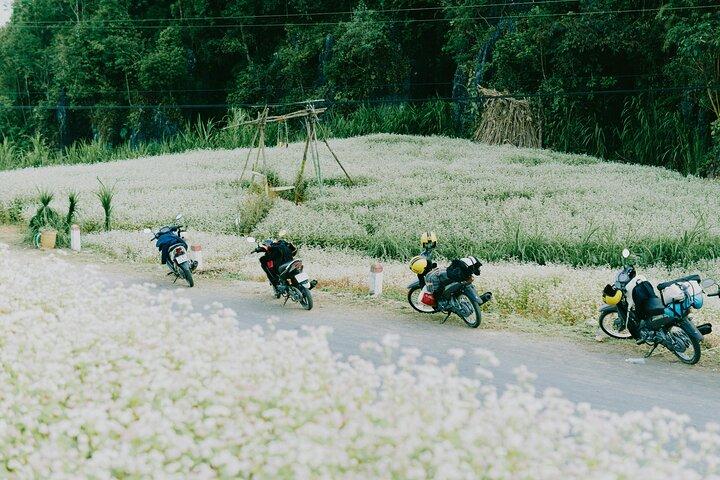 2D2N Ha Giang Loop Small Group Motorbike Adventure from Hanoi