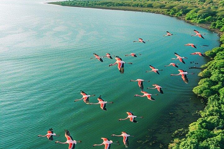 3 Days Adventure Tarangire and Ngorongoro Crater from Zanzibar