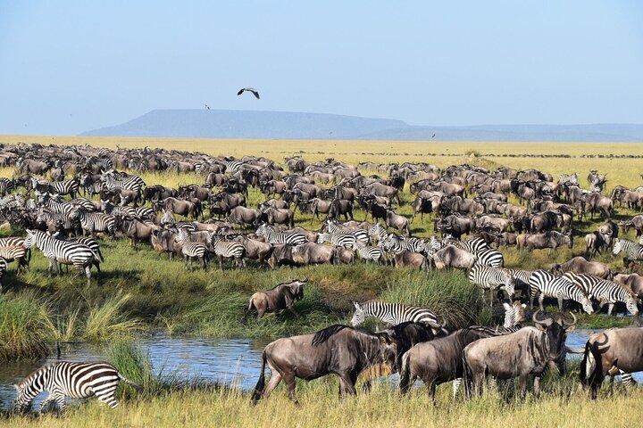 4-Day Group Tour Explore Tarangire, Serengeti and Ngorongoro