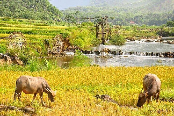 Pu Luong Private Day Tour from Hanoi – Biking & Rafting