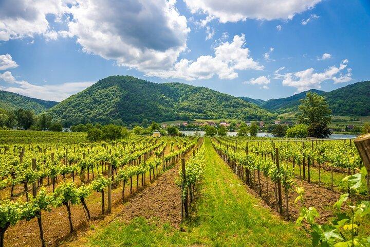 Vienna: Wachau Wonders & Magical Hallstatt Small-Group Day Trip