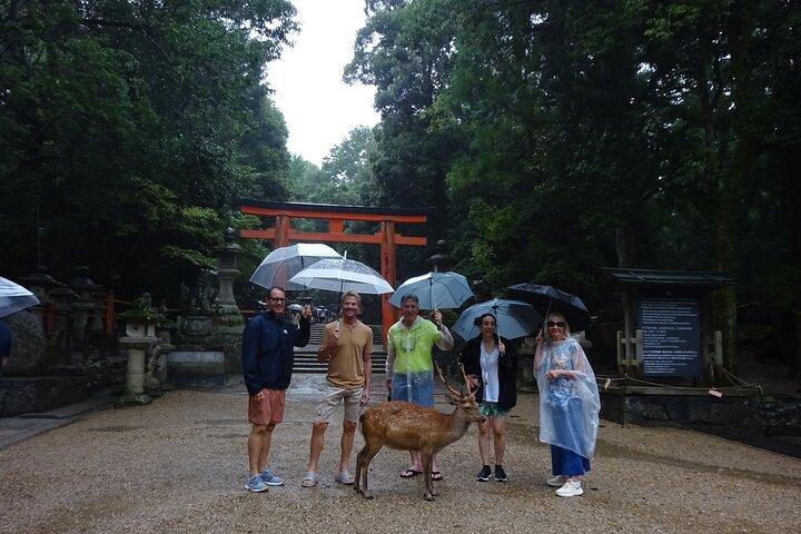 Nara Day Trip from Kyoto with a Licensed Guide