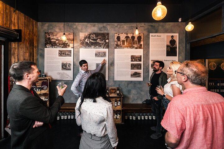 Micil Distillery Experience 2 - Gin, Poitín and Whiskey