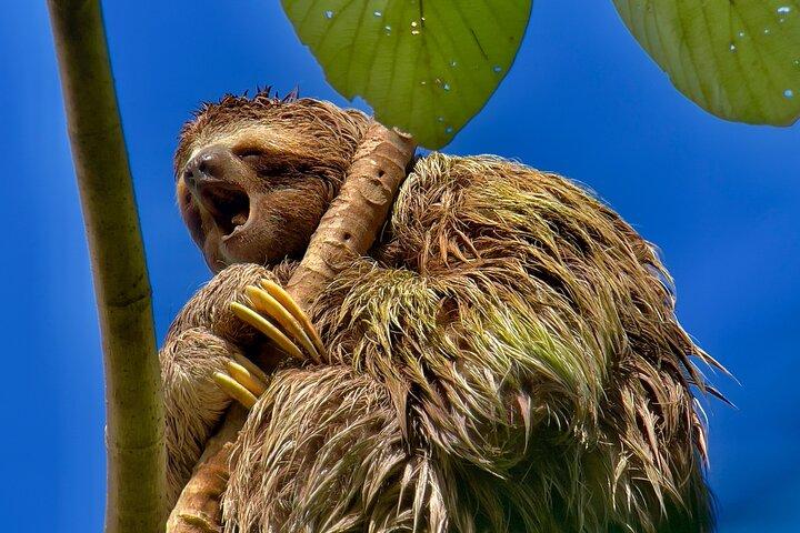 Manuel Antonio National Park Group Guided Tour
