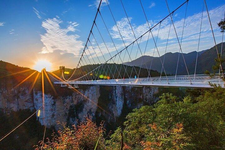 1 Day Zhangjiajie Grand Canyon Glass Bridge and Zip Line