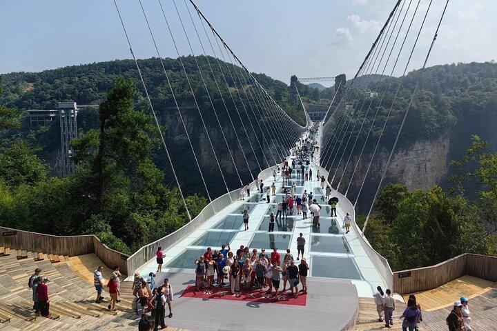 1 Day Zhangjiajie Grand Canyon Glass Bridge and Zip Line