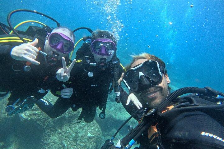 Tenerife First Time Scuba Dive – Turtle Habitat, Small Groups