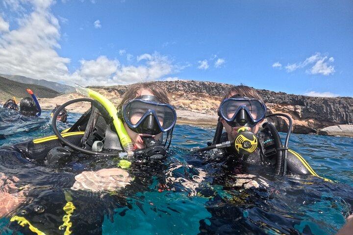 Tenerife First Time Scuba Dive – Turtle Habitat, Small Groups