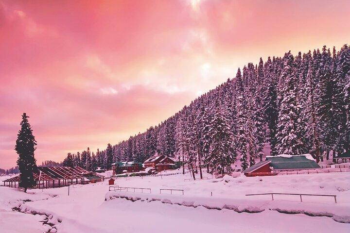 Gulmarg Adventure: A Thrilling Day Trip from Srinagar