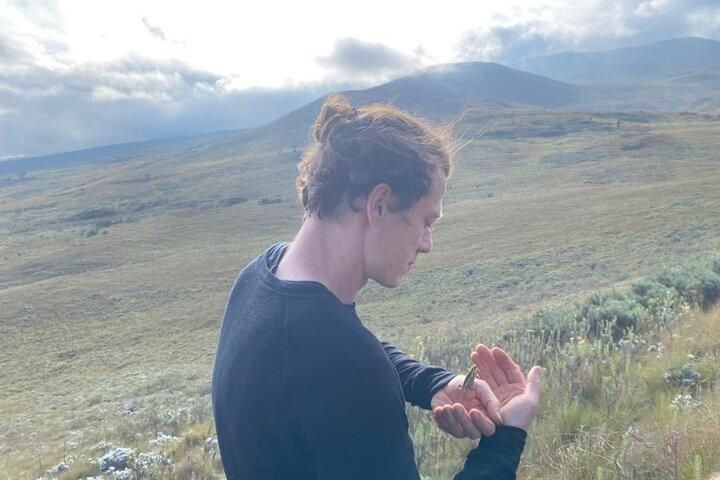 Two days one night mount Kilimanjaro climbing