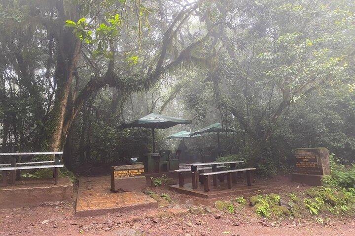 Two days one night mount Kilimanjaro climbing