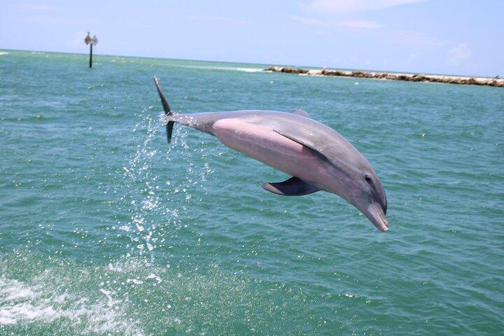 Experience Parasailing in Sarasota