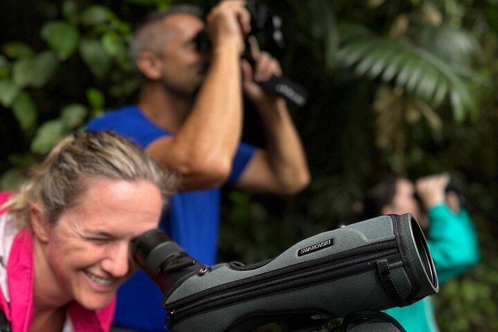 Monteverde Full Day Birding Expedition with FREE BINOCULARS