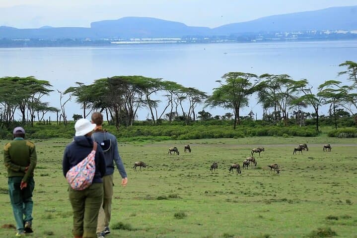 Lake Naivasha Boat ride and Crescent island walk from Nairobi