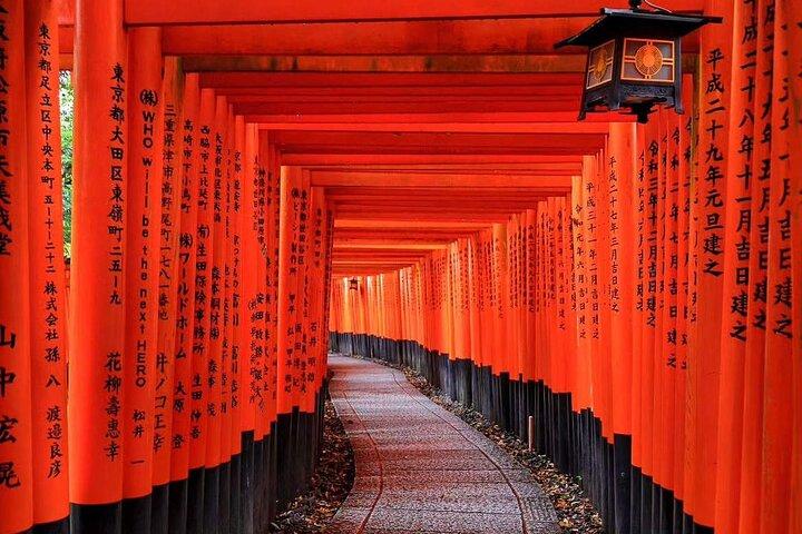 Kyoto Panoramic Day Tour Fushimi Inari Arashiyama and Temples