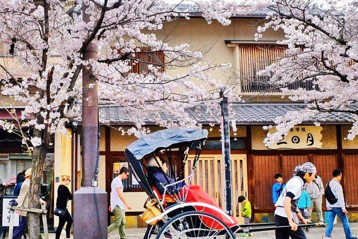 Kyoto Panoramic Day Tour Fushimi Inari Arashiyama and Temples