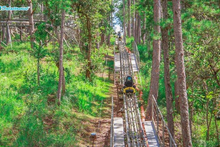 Datanla New Alpine Coaster Tour Experience Ticket