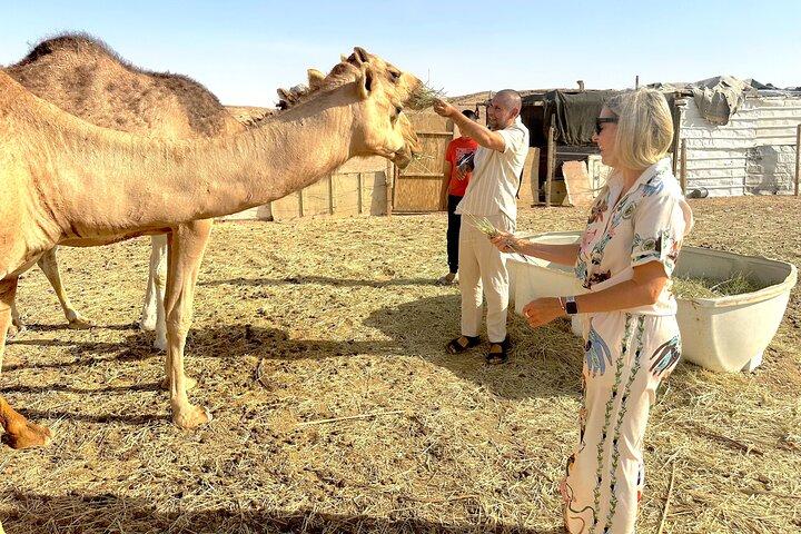 Riyadh Edge of The World Off Road 4x4 Bat Cave & Camels Hike tour