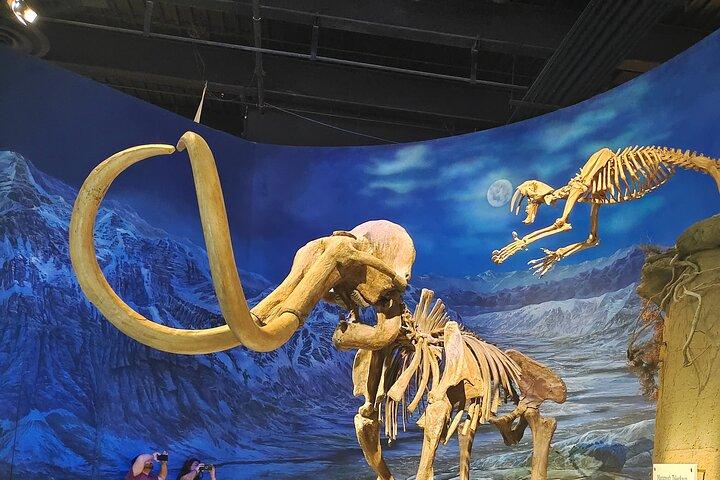 Badlands Tour: Drumheller with Museum, Hoodoos & Dinosaurs