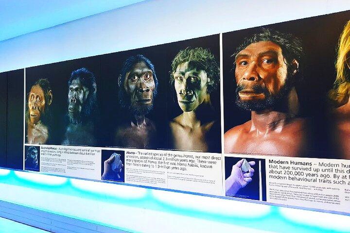 Cradle of Humankind Sterkfontein Caves and Soweto Tour