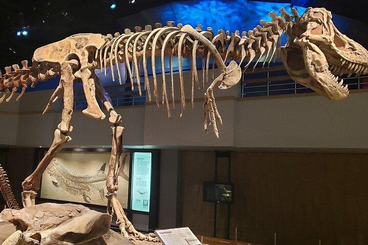 Badlands Tour: Drumheller with Museum, Hoodoos & Dinosaurs