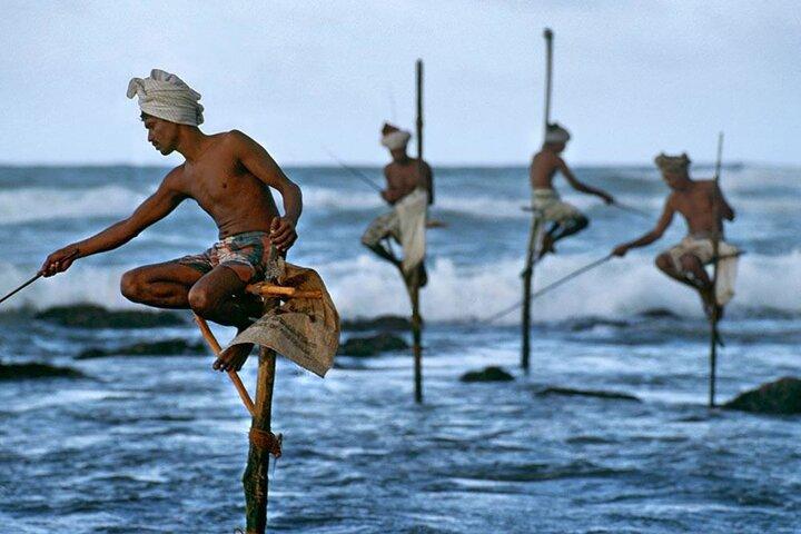 Southern Sri Lanka Day Tour with Barberyn Island Visit