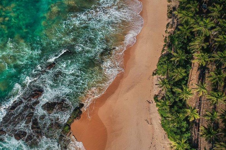 Galle Day Tour with Train Ride from Colombo or Negombo