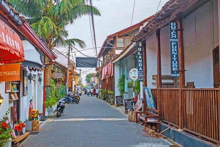 Galle Day Tour with Train Ride from Colombo or Negombo