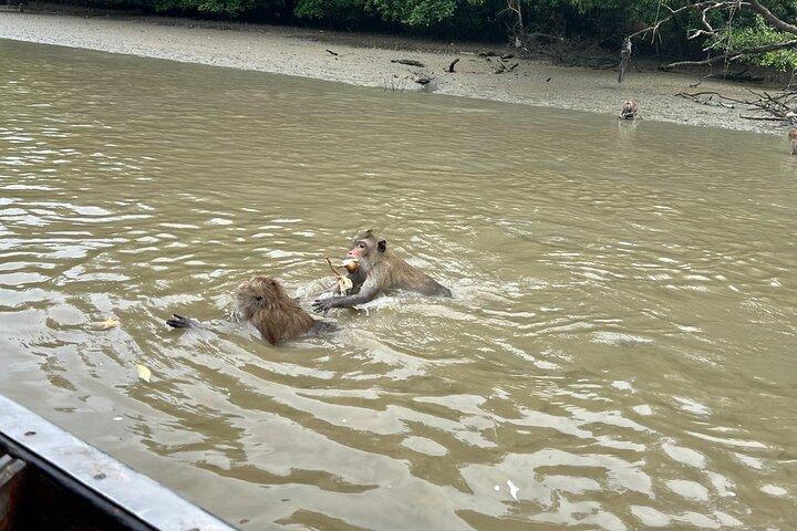 Floating & Railway Markets (Optional Mangrove Visit) Private Tour