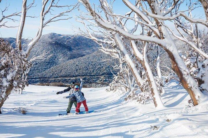 Day Trip To Snowy Mountains From Sydney